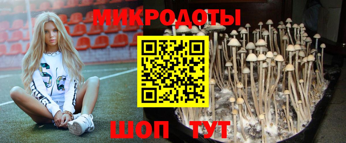 Псилоцибиновые грибы Psilocybine cubensis Зерноград